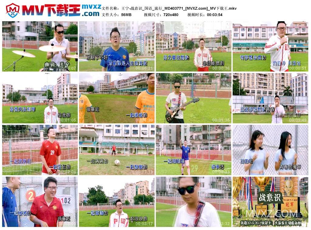 王宁-战意识_国语_流行_MD403771